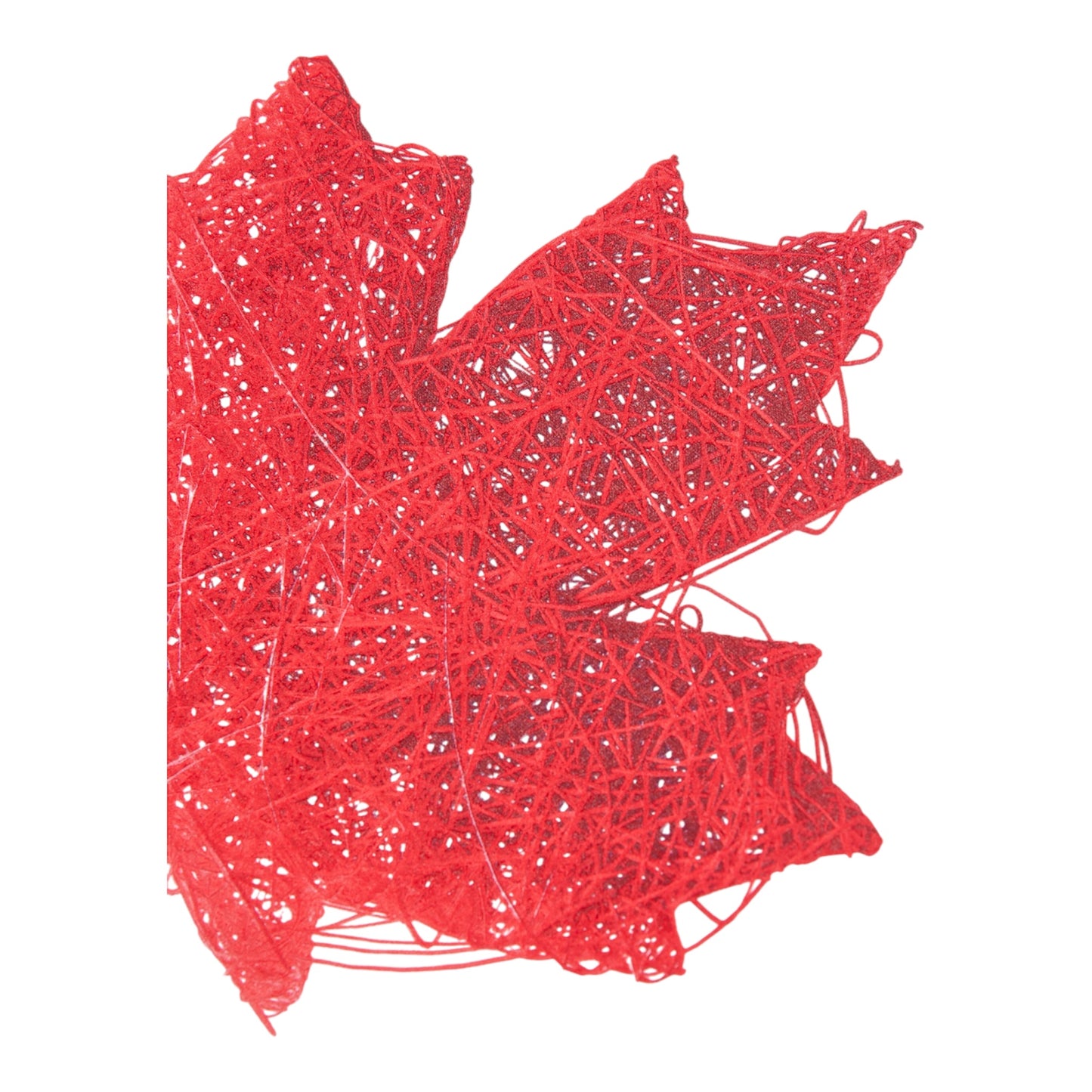 DSQUARED2 T-shirt over